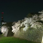 I　 love ・・・・？