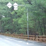 ギョロッケ！？