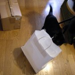 やどかり　または　家なき子