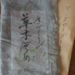 マングローブ染め