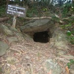 ノルディックウォーク