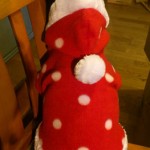 さむがりやの君に