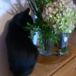 花と料理のワークショップ