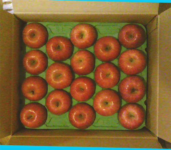 りんごのコピー