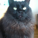 熊穴に蟄る(くまあなにこもる)