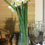 日本の七十二候を楽しんだ