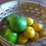 和歌山のみかん