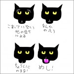 コミュニケーション