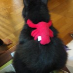 何かを背負って生きていく