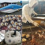 久しぶりの海女小屋　相差かまど